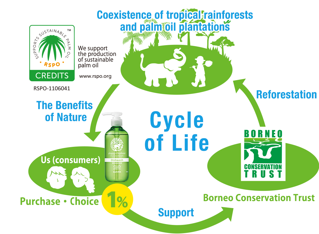 The cycle of life in Borneo with Happy Elephant