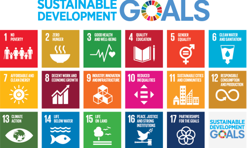 SARAYA’S Commitment to the Sustainable Development Goals: 2018 Report