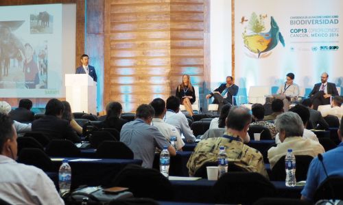 President Yusuke Saraya Talks Biodiversity as a Company Virtue