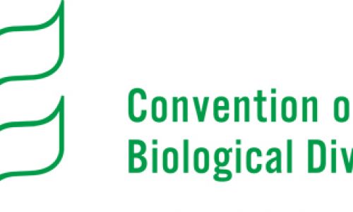 We're Reconfirming our Business and Biodiversity Pledge