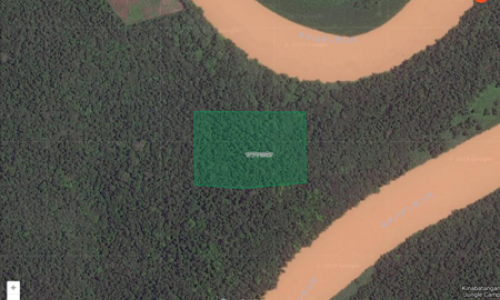 Green Corridor Project SARAYA No. 7 Forest acquired!